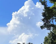 盐亭天气预报,盐亭7天天气预报,盐亭15天天气预报,盐亭天气查询